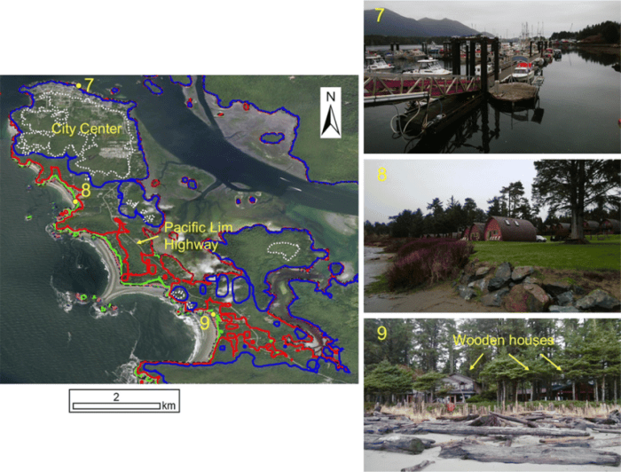 Tsunami label hitting coast activities tsunamis enchantedlearning parts origin printouts subjects