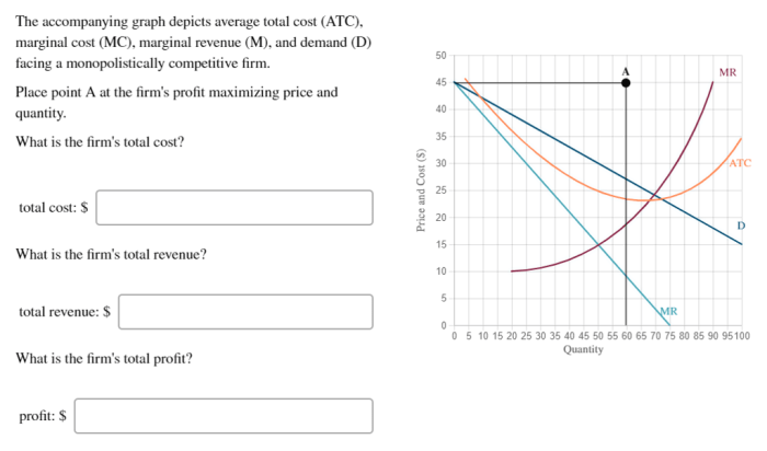 The accompanying graph depicts the marginal social cost