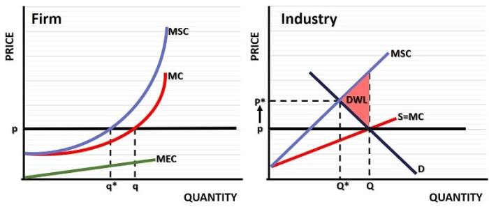 Social marginal cost private graph nfm