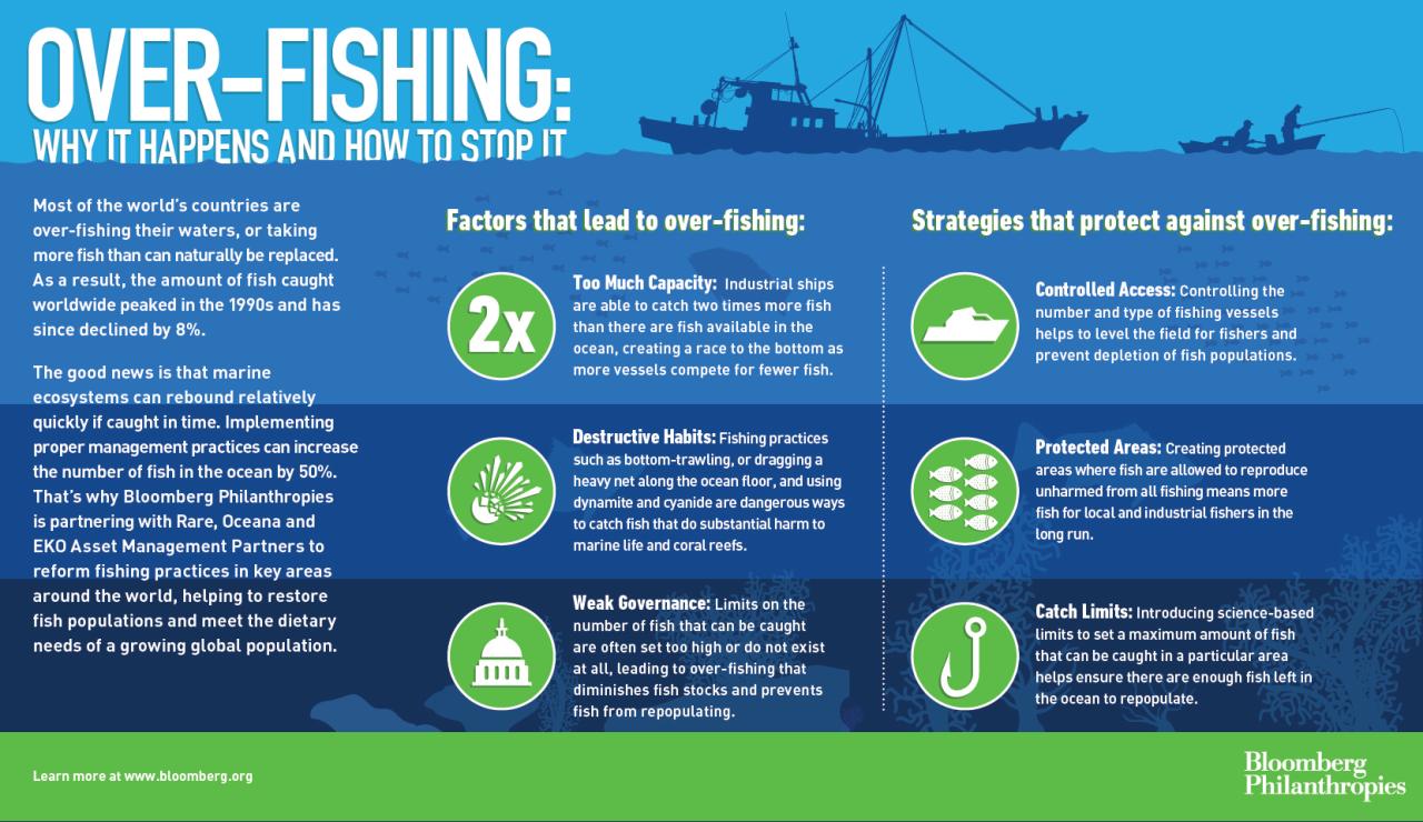 Overfishing stocks britannica depleted atlantic herring